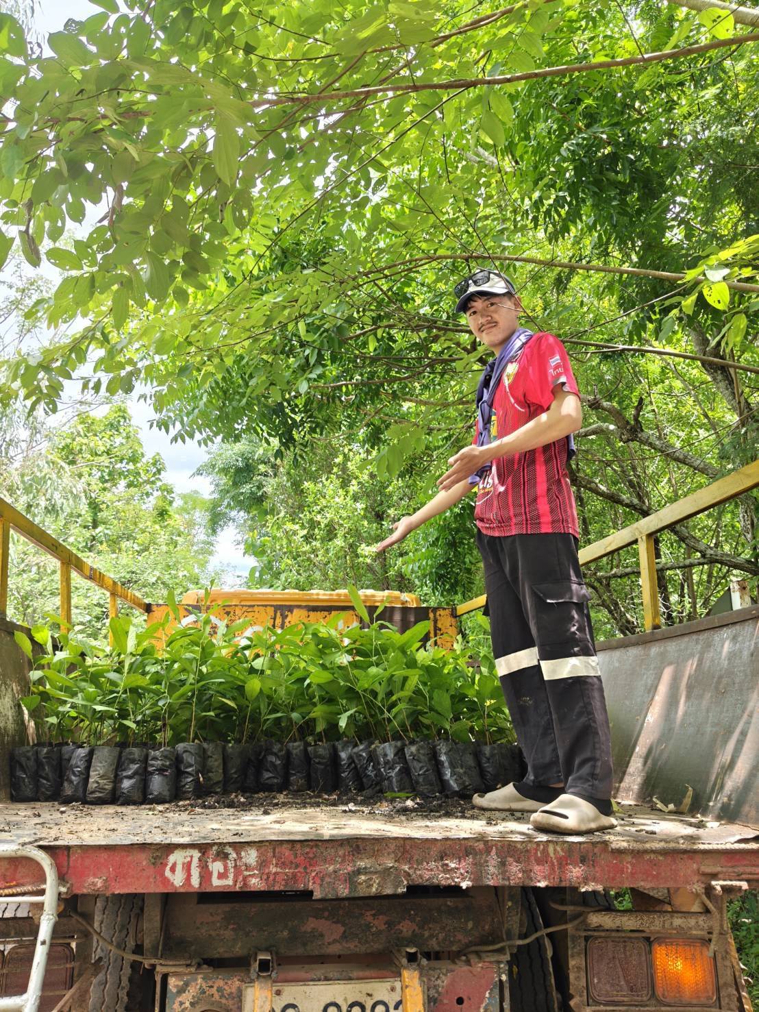 ประชาสัมพันธ์เทศบาลตำบลธาตุพนมใต้ รับพันธุ์ไม้จำนวน 1,000 ต้น จากสถานีเพาะชำกล้าไม้จังหวัดนครพนม เพื่อเตรียมพร้อมสำหรับโครงการปลูกป่าเฉลิมพระเกียรติฯ และวันต้นไม้ประจำชาติ พ.ศ. 2569